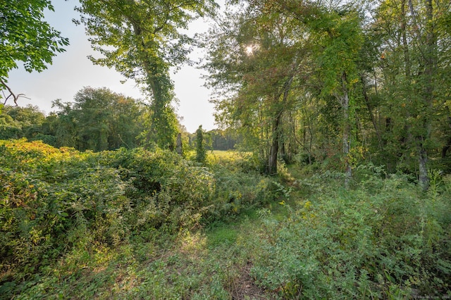 300 Canterbury Tpke, Norwich, CT 06360 - photo 29