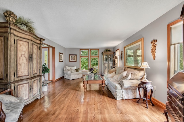 living room featuring a textured ceiling and light hardwood / wood-style flooring