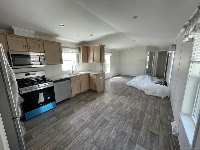 kitchen with sink, dark wood-type flooring, crown molding, vaulted ceiling, and appliances with stainless steel finishes