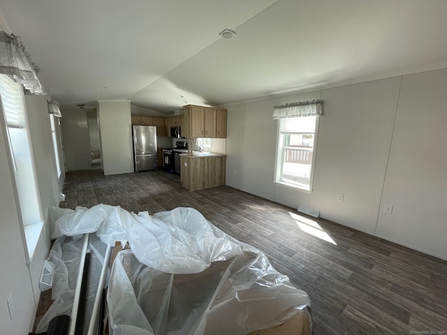 kitchen featuring sink, lofted ceiling, stainless steel appliances, and dark wood-type flooring