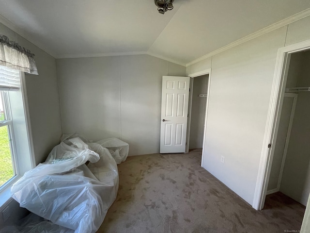 carpeted bedroom featuring crown molding, a closet, and lofted ceiling