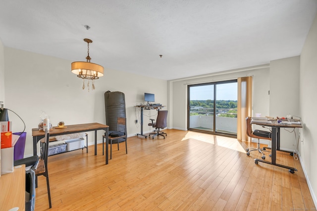 interior space featuring light hardwood / wood-style floors