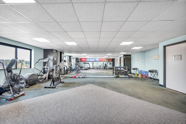 gym featuring a drop ceiling and carpet