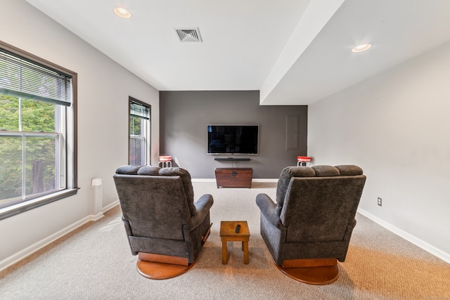 living room featuring light colored carpet