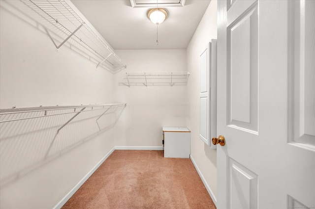 walk in closet featuring light colored carpet