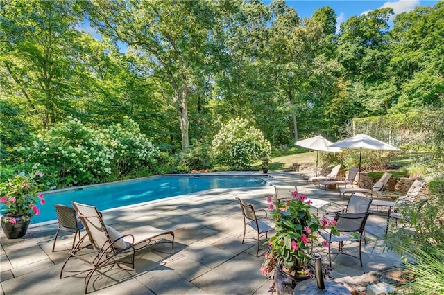 view of swimming pool with a patio area