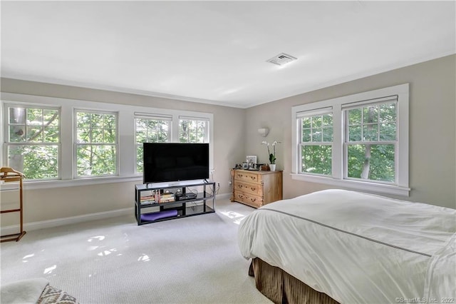 bedroom with crown molding and carpet