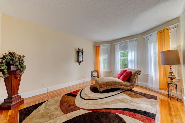 living area featuring wood-type flooring and a textured ceiling