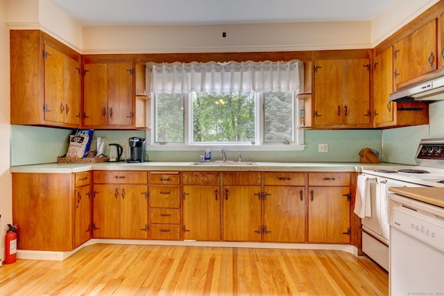 kitchen with light wood-type flooring, white appliances, and sink