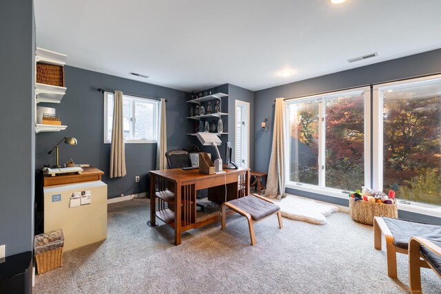 carpeted office with plenty of natural light