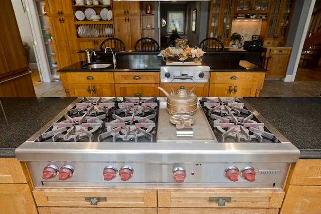 kitchen with sink and stainless steel gas cooktop