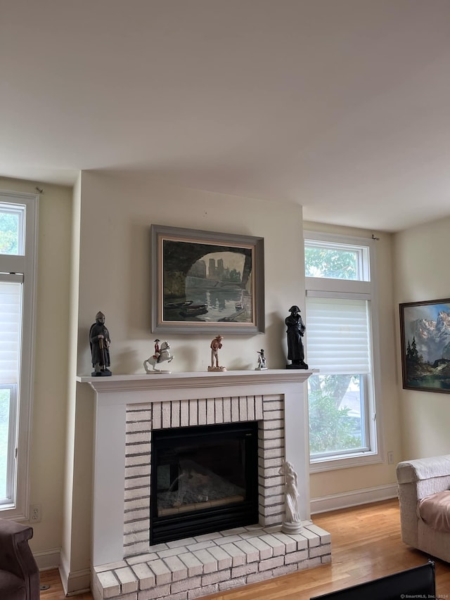 details featuring wood-type flooring and a fireplace