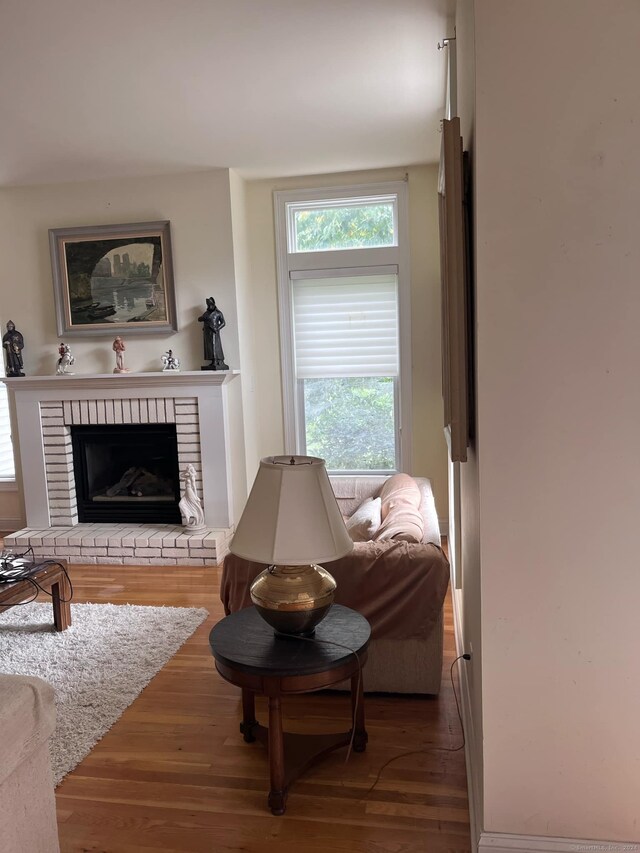 living room with wood-type flooring and a fireplace