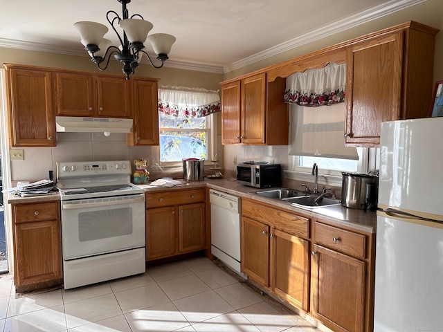 kitchen featuring ornamental molding, sink, white appliances, and plenty of natural light