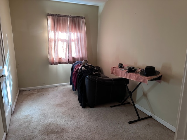 sitting room featuring light colored carpet