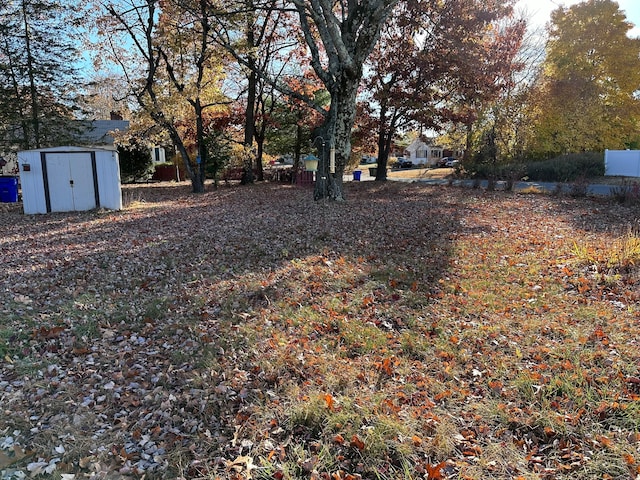 view of yard featuring a storage shed