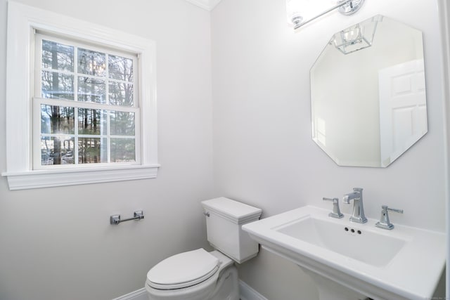 bathroom with toilet, a wealth of natural light, and sink