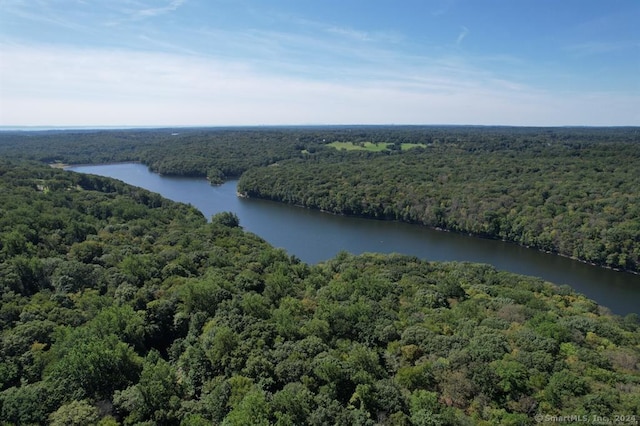 bird's eye view featuring a forest view and a water view