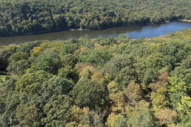 bird's eye view with a water view and a view of trees