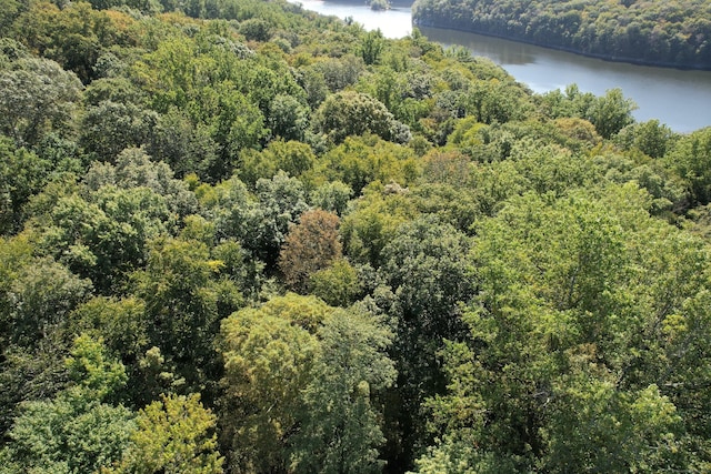 drone / aerial view featuring a forest view and a water view