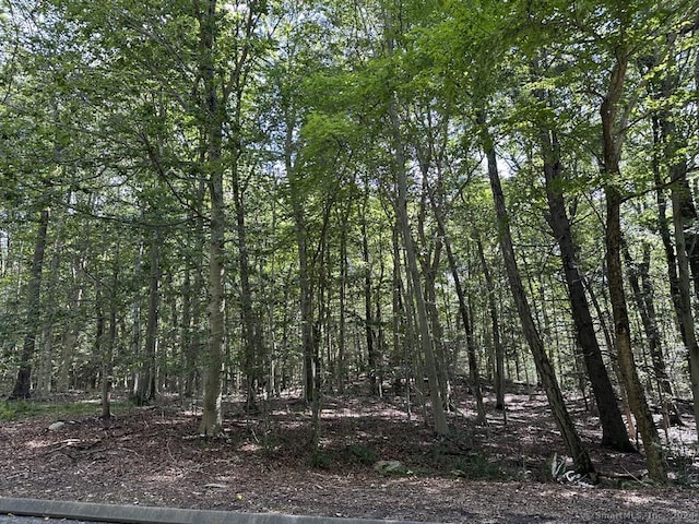 view of local wilderness