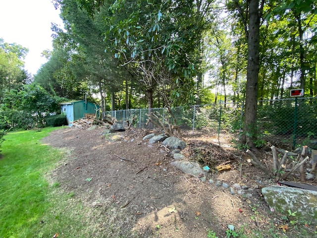 view of yard with a storage shed