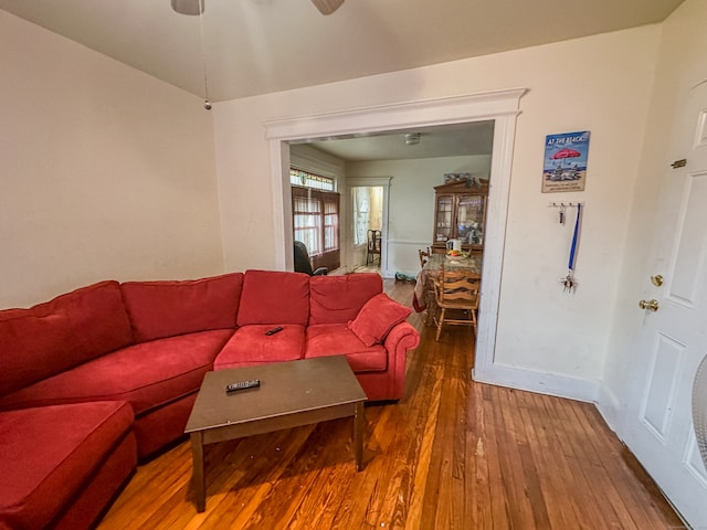 living room with ceiling fan and wood-type flooring