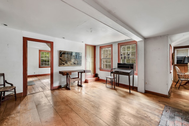 interior space with light wood-type flooring and plenty of natural light