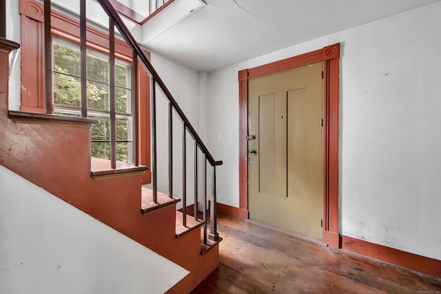 foyer entrance featuring wood-type flooring