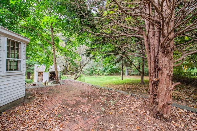 view of yard with a patio