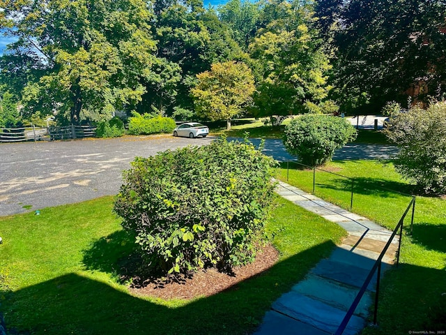 view of community with a lawn