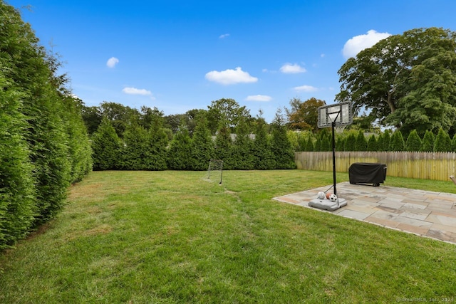 view of yard featuring a patio