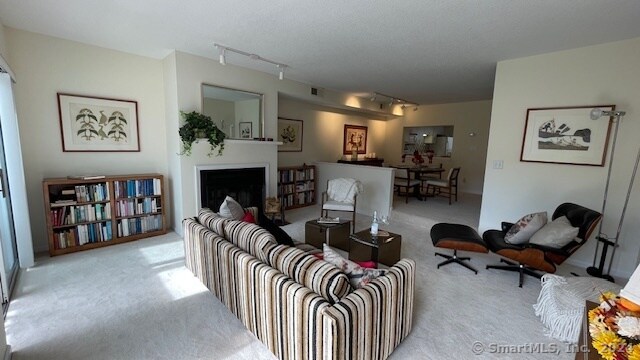 living room with light colored carpet and rail lighting