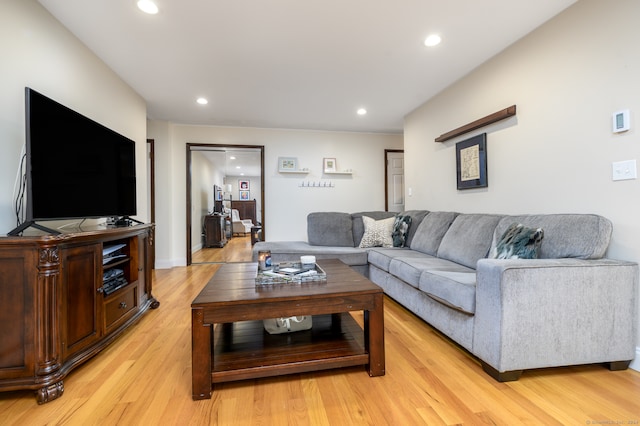 living room featuring light hardwood / wood-style flooring