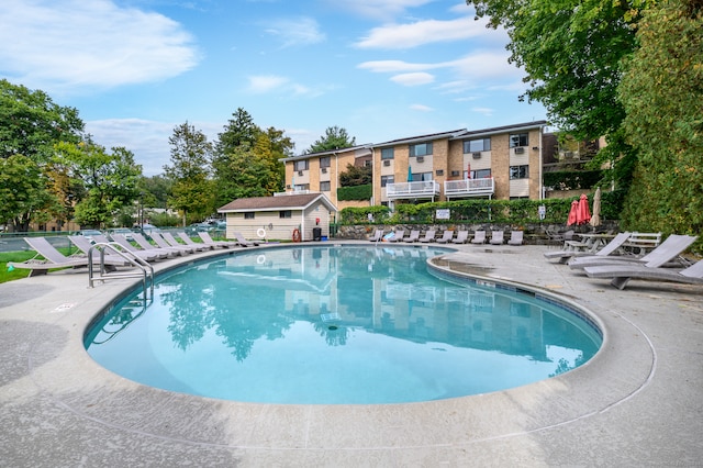 view of pool featuring a patio area