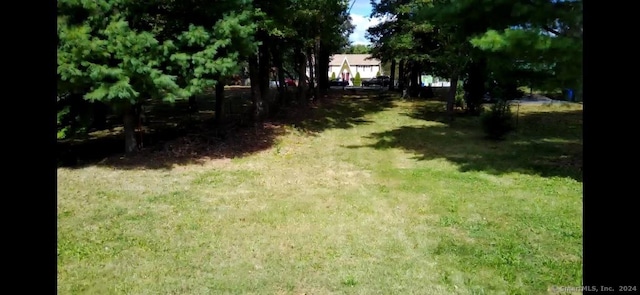 61 Leverich Dr, East Hartford, CT 06108 - photo 5