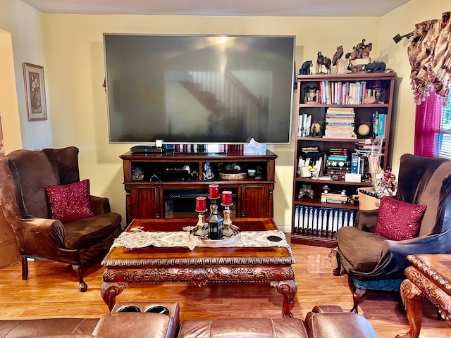 living room featuring hardwood / wood-style flooring