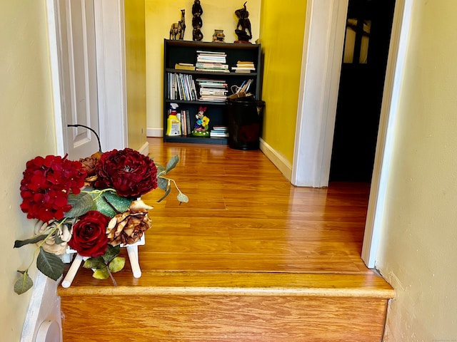 hallway with wood-type flooring