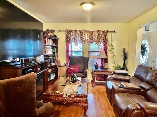 living room featuring light hardwood / wood-style flooring