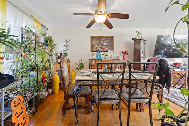 dining area with hardwood / wood-style flooring and ceiling fan