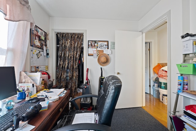 office area featuring hardwood / wood-style flooring