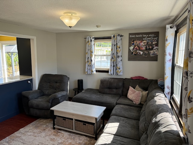 living room with a textured ceiling and hardwood / wood-style floors