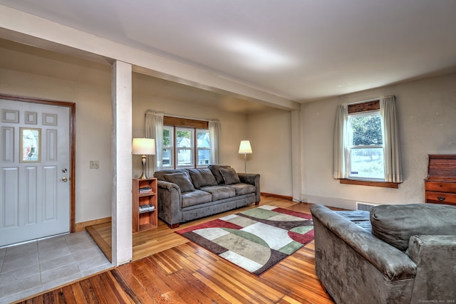 living room with light hardwood / wood-style floors and plenty of natural light