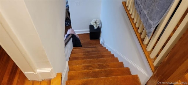 staircase featuring wood-type flooring