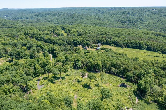 101 Lower Church Hill Rd, Washington, CT 06794 - photo 4