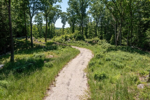 101 Lower Church Hill Rd, Washington, CT 06794 - photo 6
