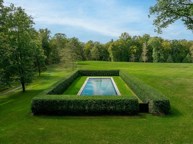 view of swimming pool featuring a lawn