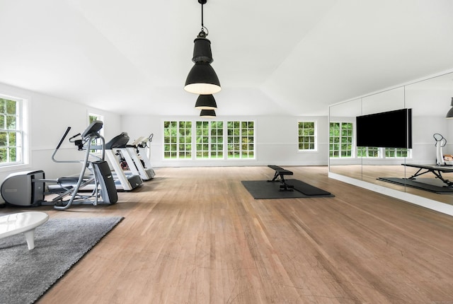 workout area with vaulted ceiling and light wood-type flooring