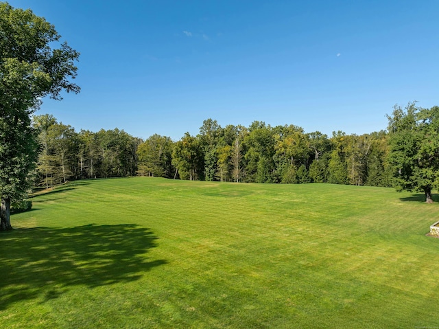 surrounding community featuring a yard