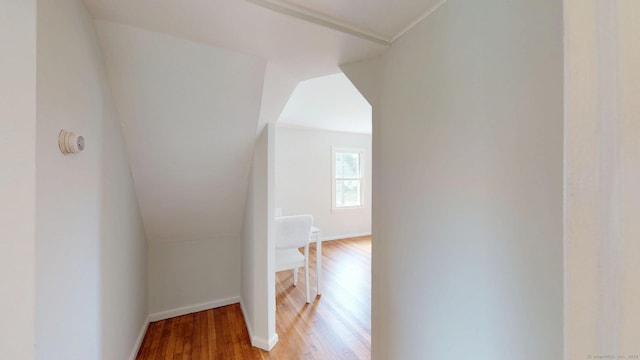 23 Nassau Cir E, Hartford, CT 06118 - hallway with light wood-style flooring and lofted ceiling
